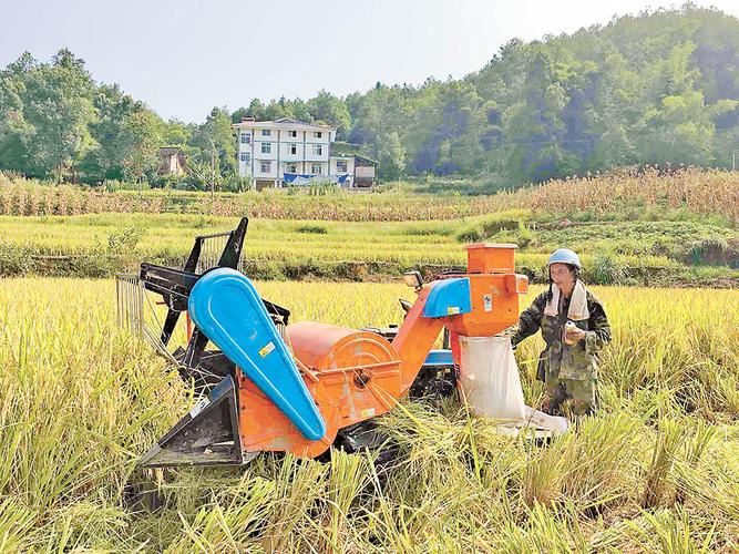 然而,巴南区石滩镇顺友稻米种植专业合作社负责人刘顺友却闲不下来.